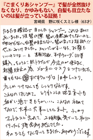 野に咲くスミレ