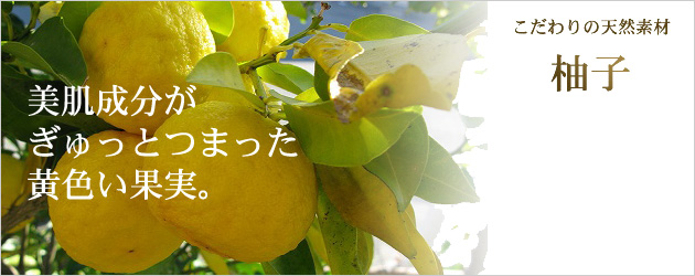 美肌成分がギュッと詰まった黄色い果実