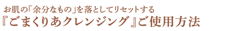ご使用方法