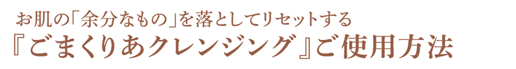 ご使用方法