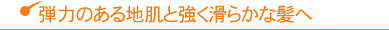 弾力のある地肌と強く滑らかな髪へ