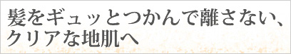 髪をギュッとつかんで離さないクリアな地肌へ