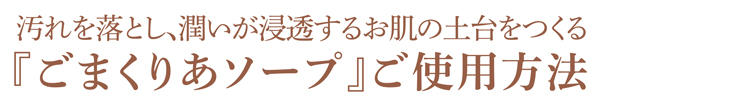 ご使用方法