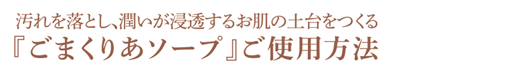ご使用方法