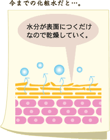 今までの化粧水だと