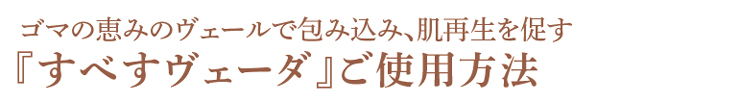 ご使用方法