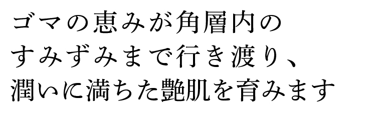 ゴマの恵みが角質層のすみずみまで行き渡り、潤いに満ちた艶肌を育みます